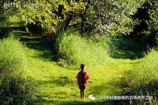 第五战:秦并巴蜀(蜀道修订篇)百年一遇的机会,你怎么选? 1 渤海小吏
