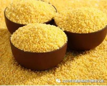 第二战:马陵之战(国防成本修订版)战略方向错误导致的魏盛转衰 8 渤海小吏